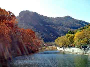 管家婆免费正版资起大全，孙守刚 背景